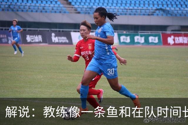 解说：教练像一条鱼&在队时间长了就会发臭 杜锋话语出现效应递减